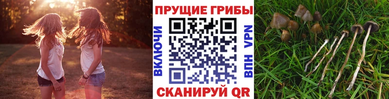 Псилоцибиновые грибы MAGIC MUSHROOMS  omg ссылки  Абаза  мориарти Telegram  где купить  